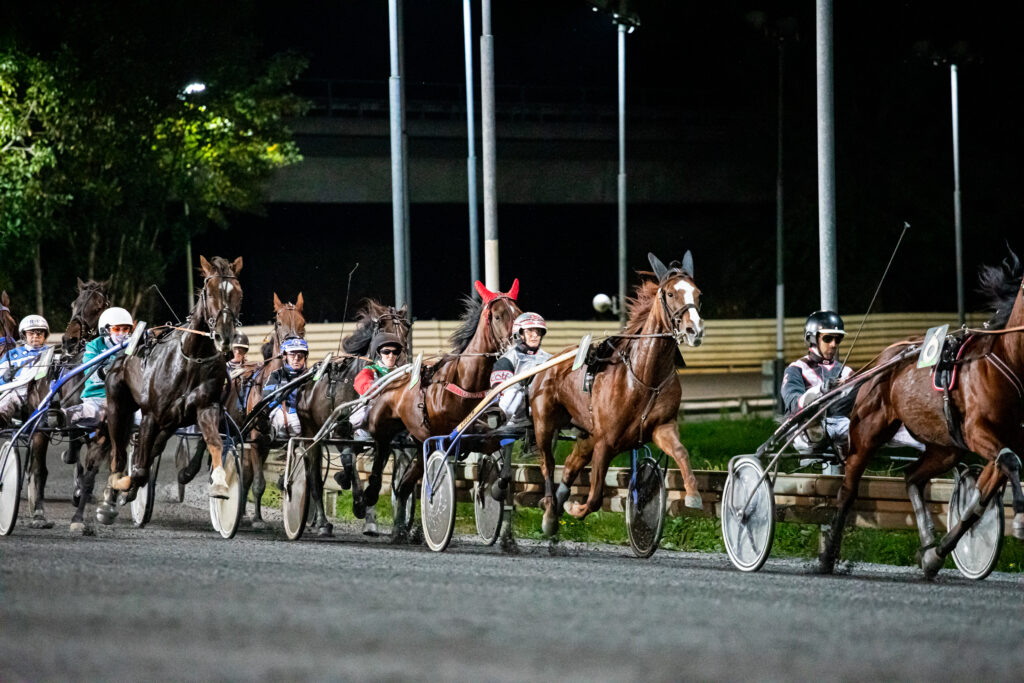 Nachtrennen auf der Trabrennbahn Mönchengladbach