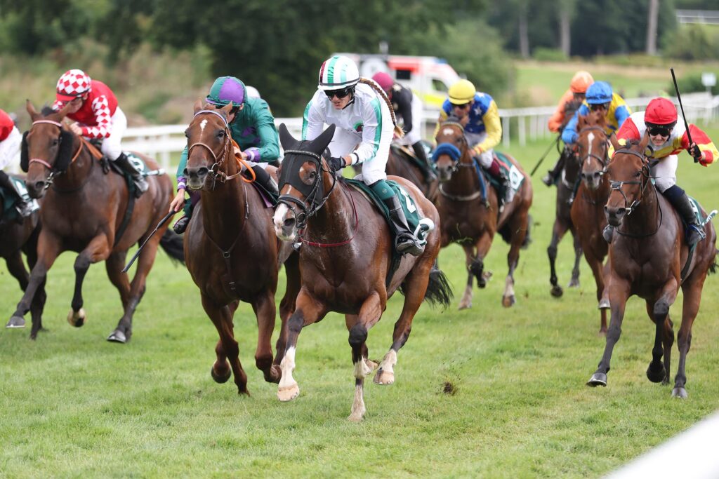 Galopprennen in Bad Harzburg
