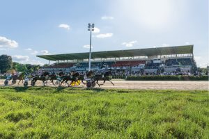Trabrennen vor der Tribüne in Berlin-Karlshorst