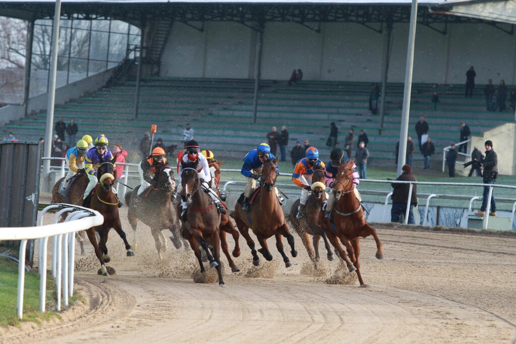 Die Pferde und Jockeys vor der Tribüne auf der Galopprennbahn Dortmund