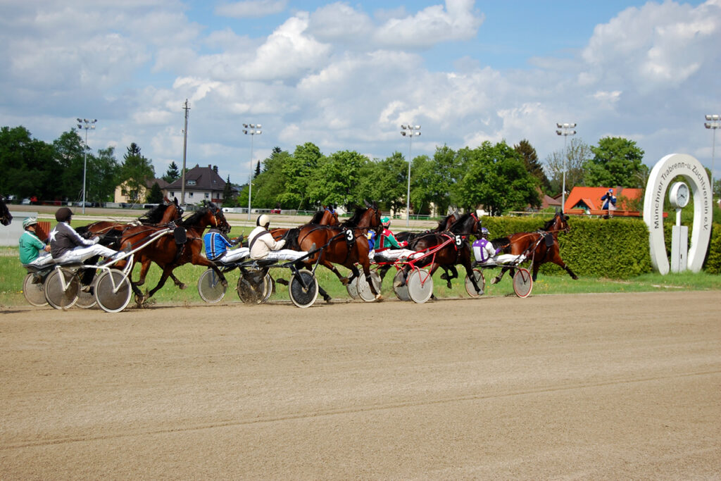 Zielgerade auf der Trabrennbahn München-Daglfing