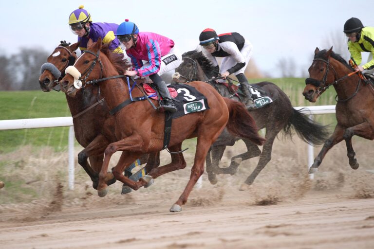 Galopp auf der Sandbahn in Dortmund