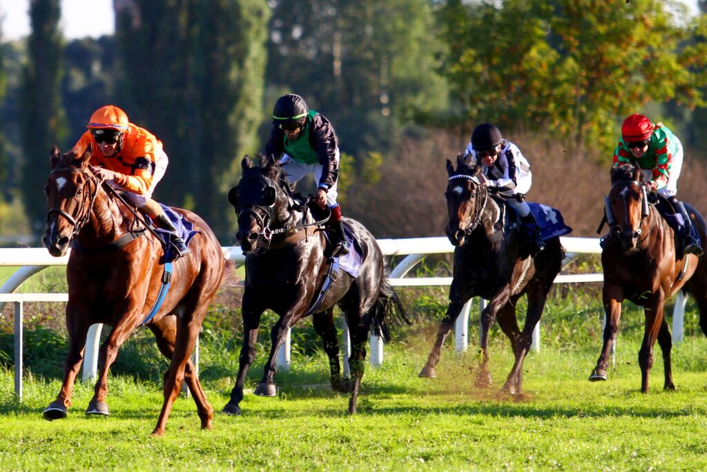 Rennen auf der Galopprennbahn Halle (Saale)