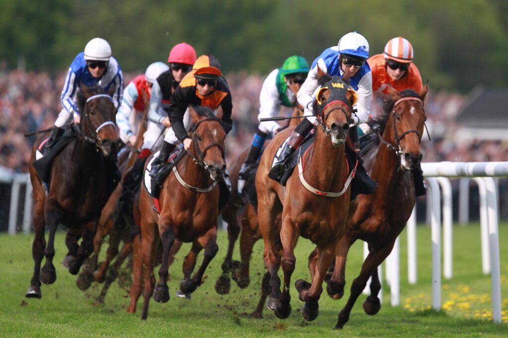 Rennen auf der Galopprennbahn Neue Bult