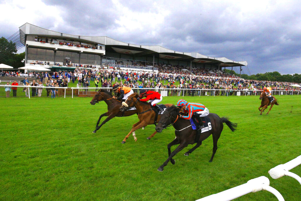 Pferde vor der Tribüne auf der Galopprennbahn Neue Bult