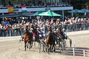 Pferde vor der Tribüne auf der Trabrennbahn Hamburg-Bahrenfeld