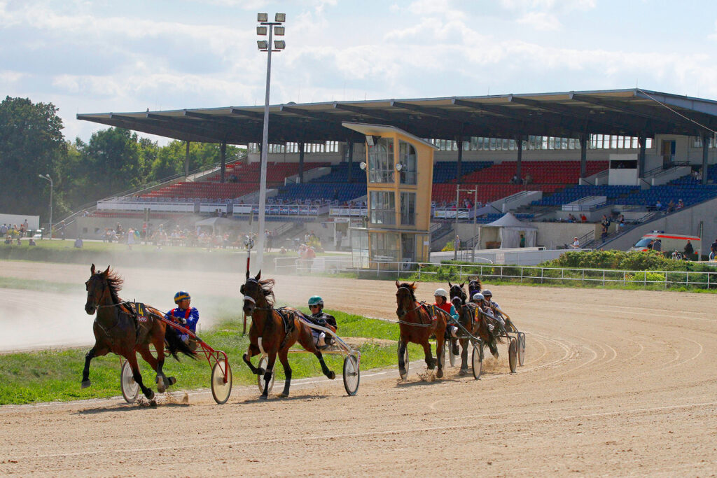 Trabrennen vor der Hauptribüne Berlin-Karlshorst