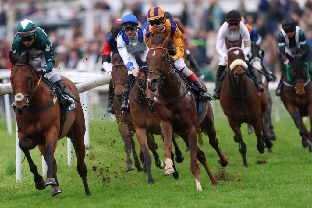 Renntag auf der Galopprennbahn Köln-Weidenpesch