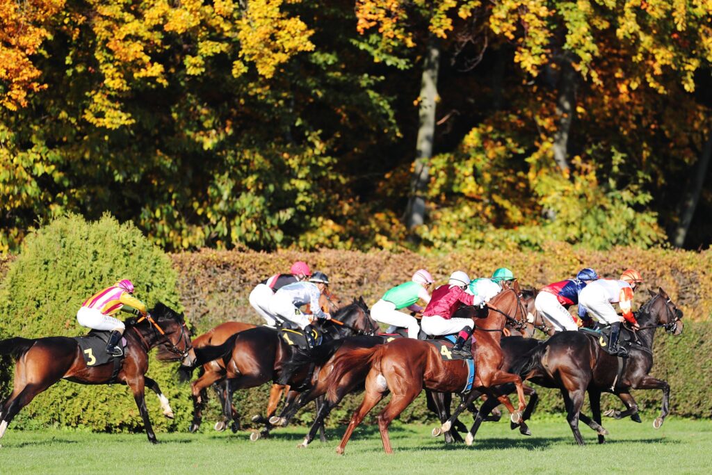 Galopp in Krefeld