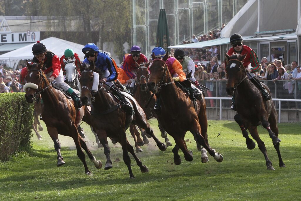 Renntag auf der Waldrennbahn Mannheim-Seckenheim