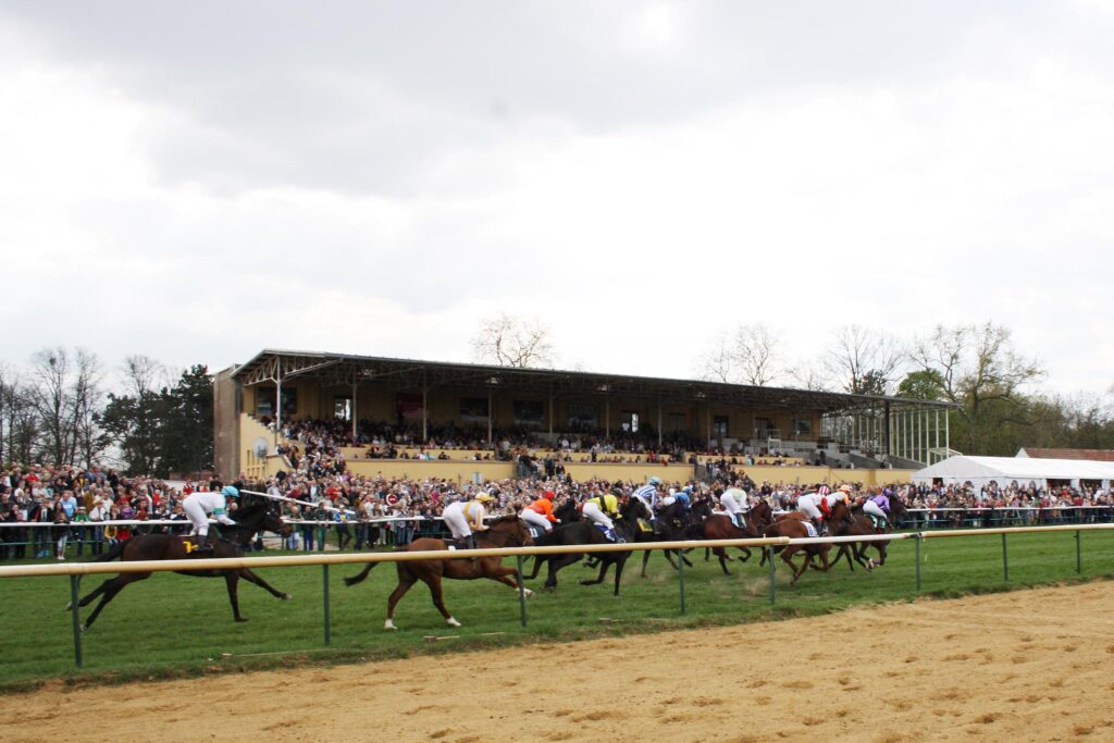 Tribüne der Galopprennbahn Magdeburg