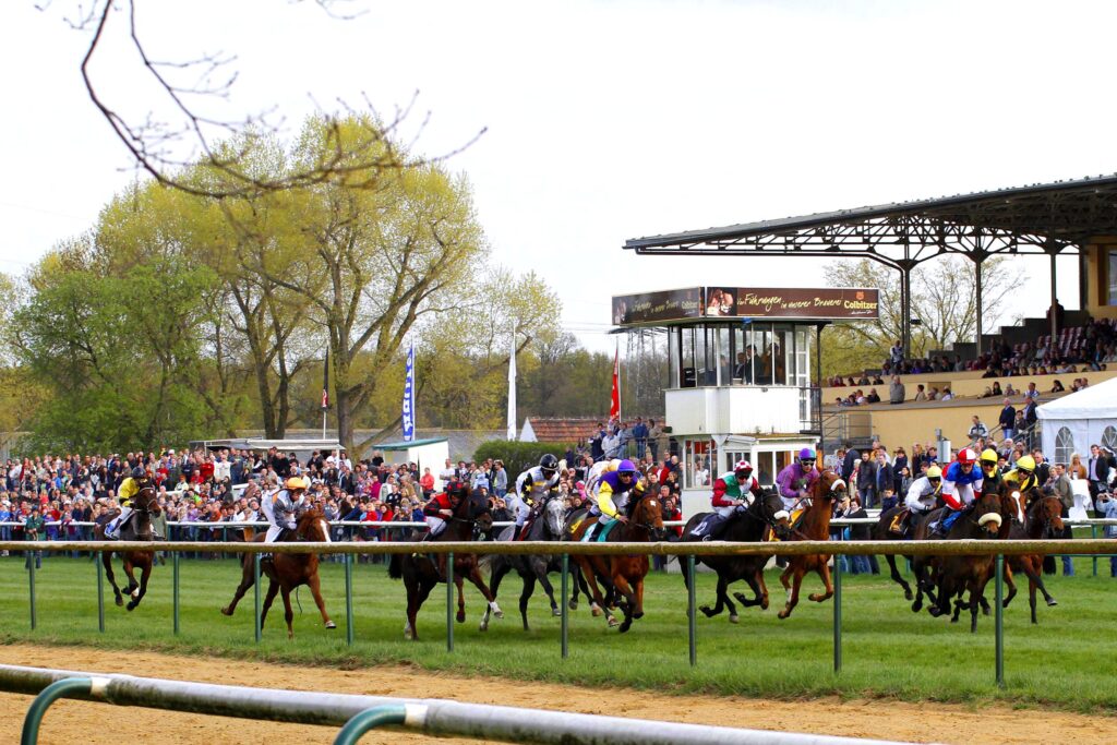 Das Feld kurz nach dem Start auf der Galopprennbahn Magdeburg
