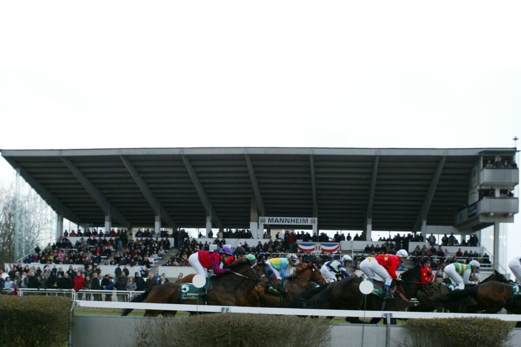 Pferde vor der Tribüne der Waldrennbahn Mannheim-Seckenheim
