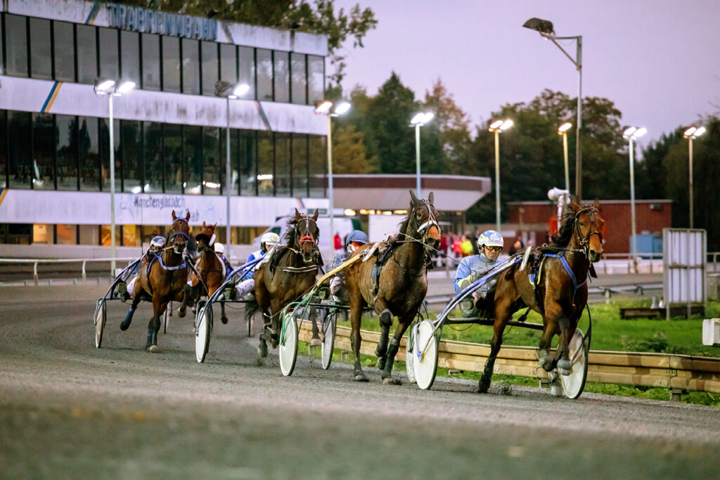 Rennen vor der Tribüne auf der Trabrennbahn Mönchengladbach