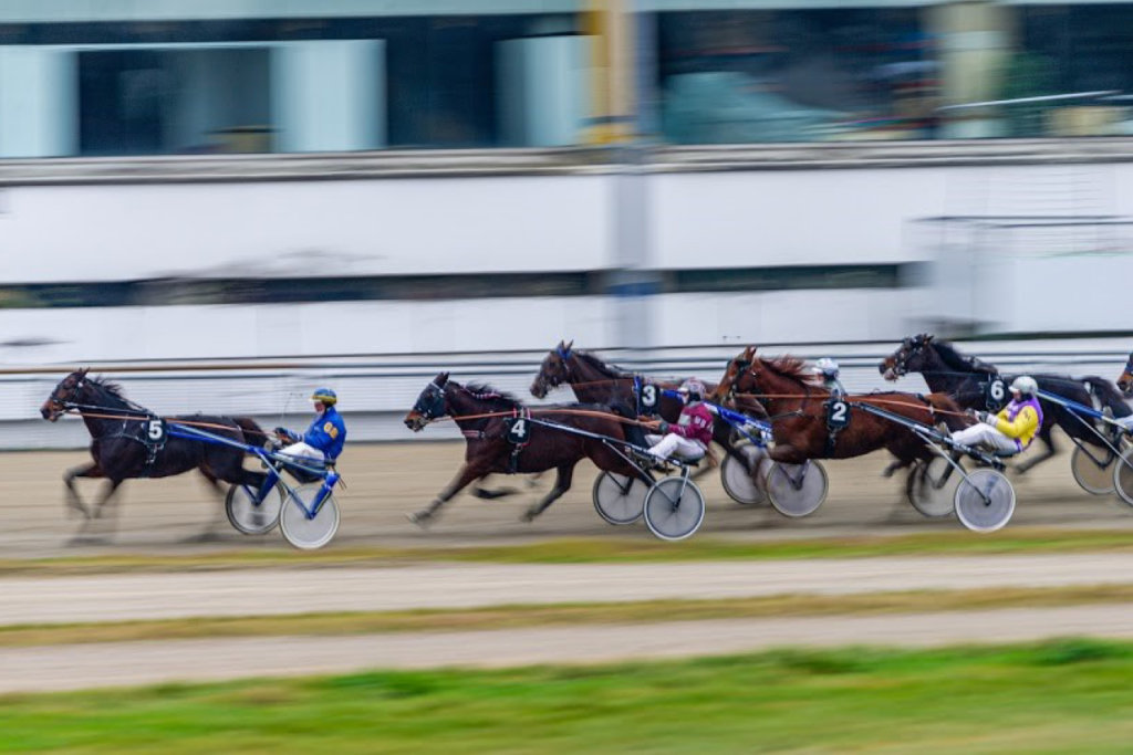 Trabrennbahn München-Daglfing