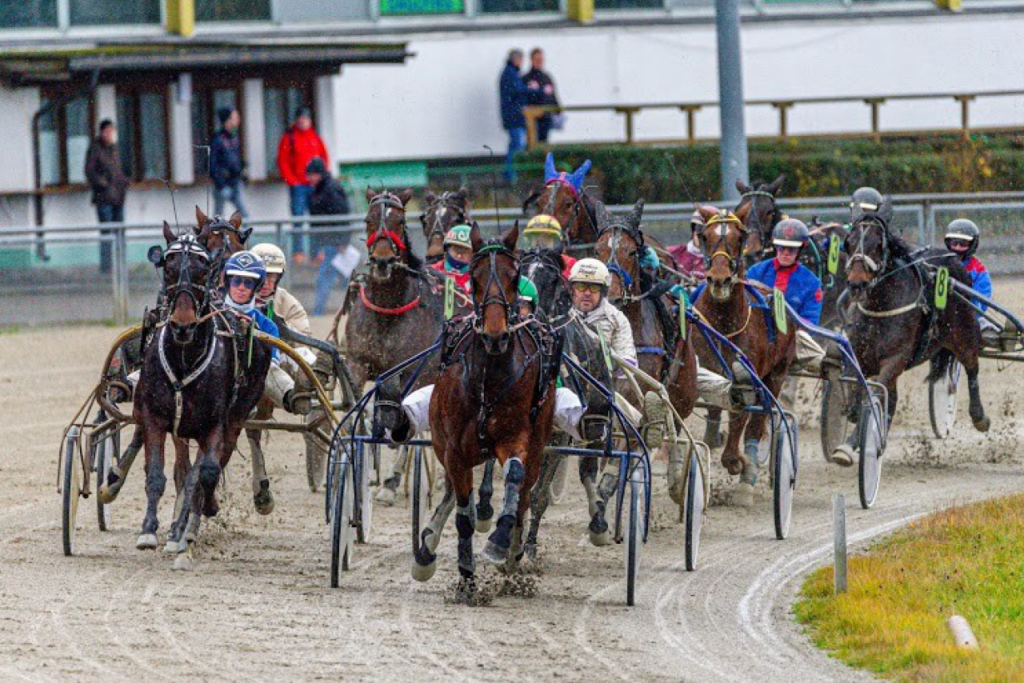 Renntag auf der Trabrennbahn München-Daglfing
