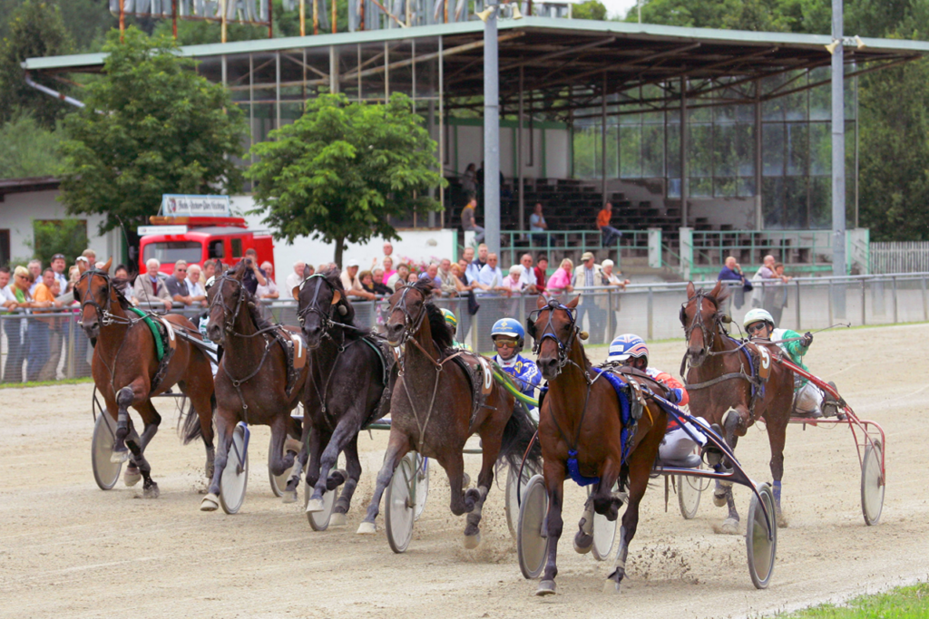 Pferde und Fahrer vor der Tribüne auf der Trabrennbahn Pfarrkirchen