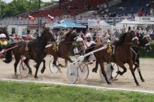 Renntag auf der Trabrennbahn Berlin-Karlshorst
