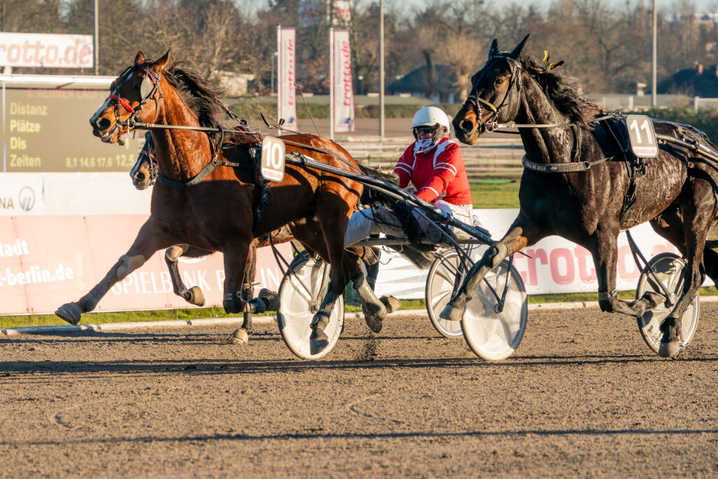Renntag auf der Trabrennbahn Berlin-Mariendorf