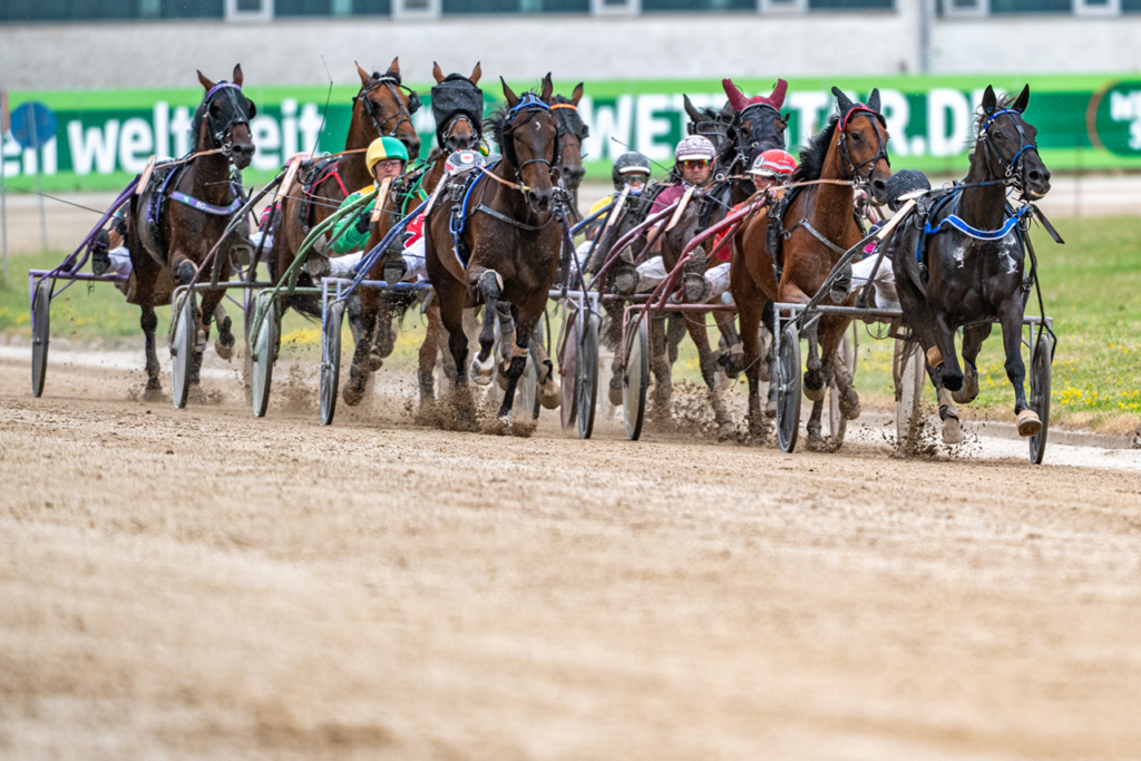 Renntag auf der Trabrennbahn Straubing