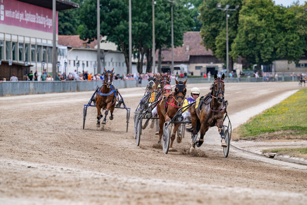 Renntag auf der Trabrennbahn Straubing