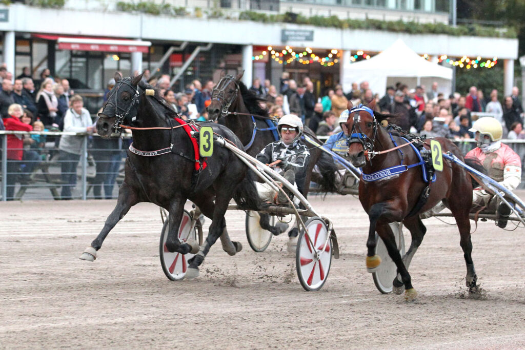 Rennntag auf der Trabrennbahn Hamburg-Bahrenfeld