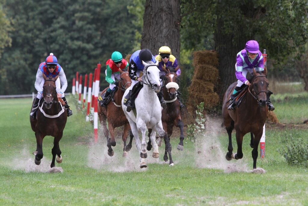 Pferderennen beim Purzelmarkt