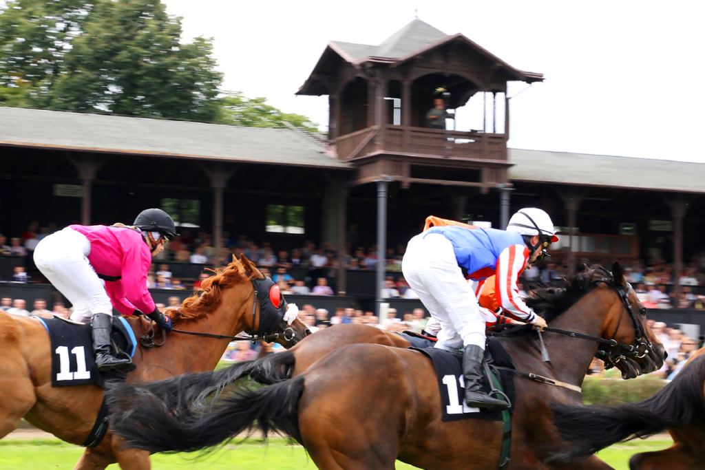 Pferde und Jockeys vor der Tribüne auf der Galopprennbahn Dresden-Seidnitz
