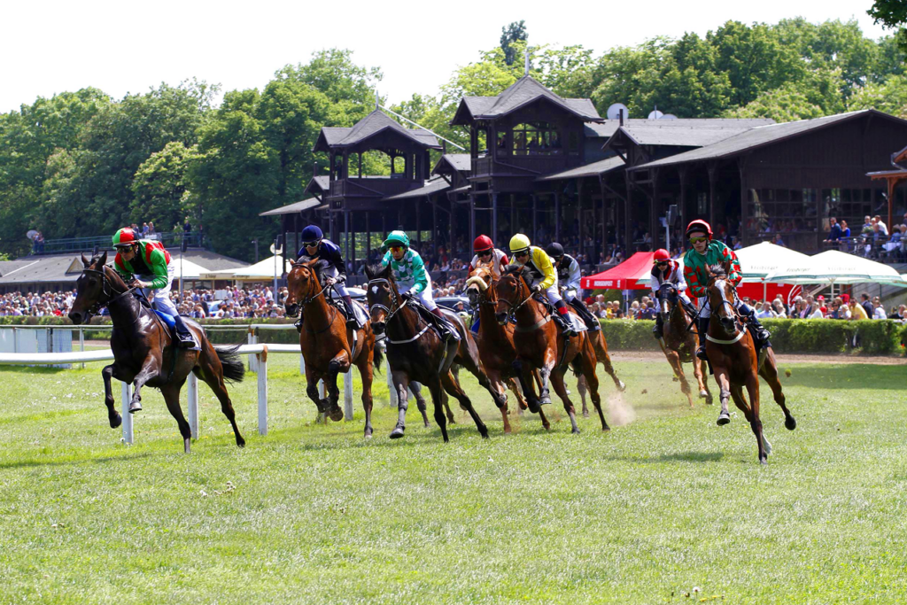 Renntag auf der Galopprennbahn Dresden-Seidnitz