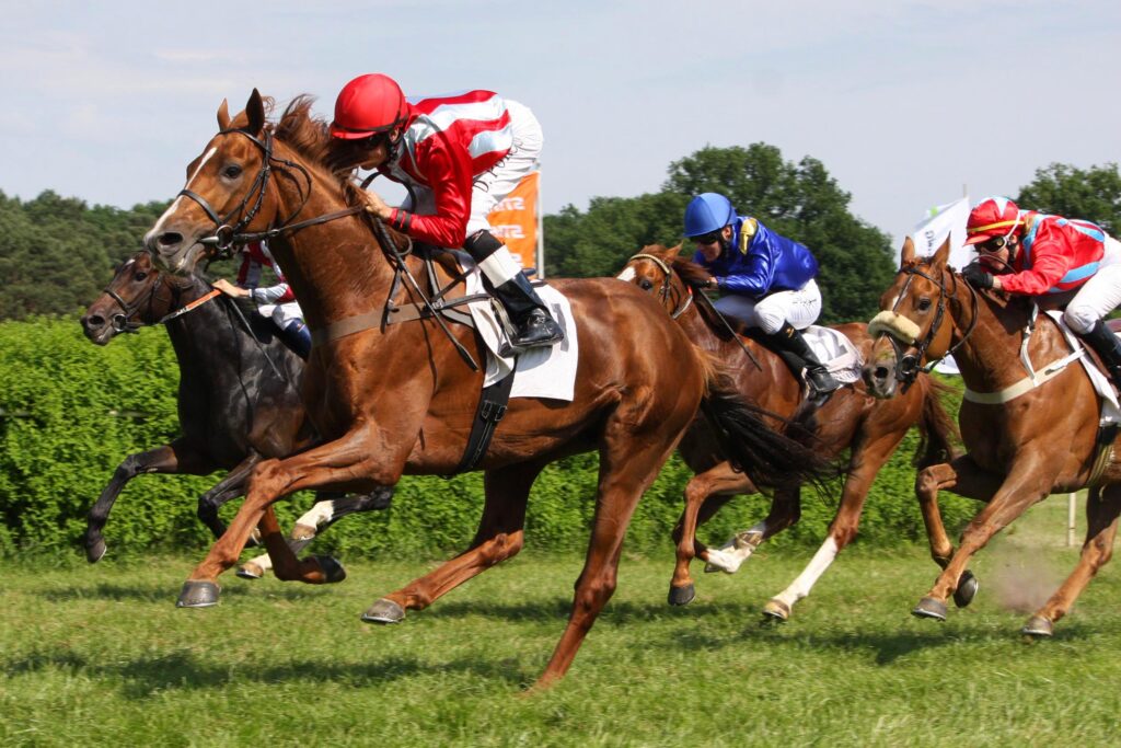 Renntag auf der Galopprennbahn Haßloch