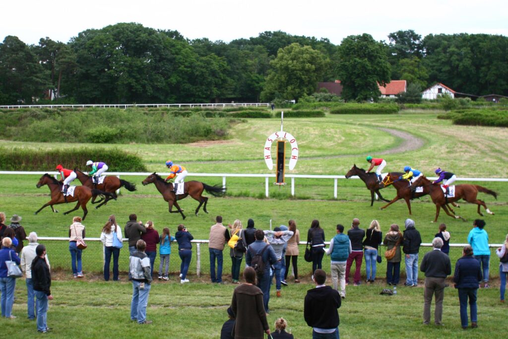 Zieleinlauf auf der Galopprennbahn Haßloch