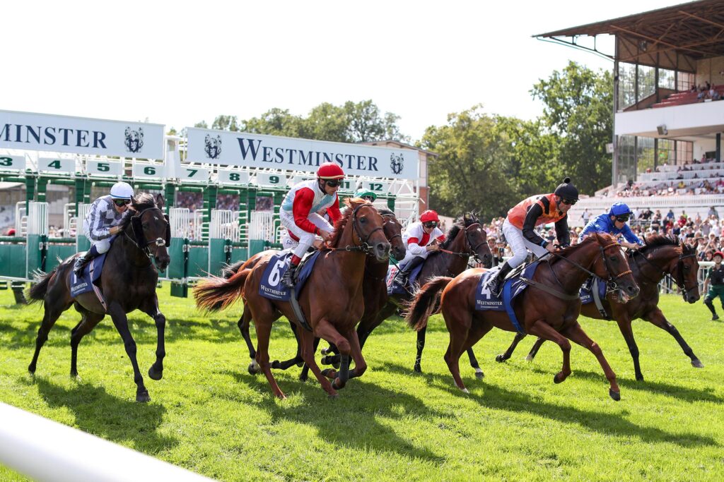 Pferde auf der Galopprennbahn Hoppegarten