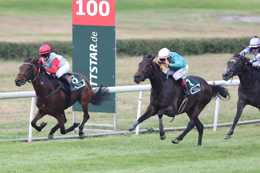 Rennen auf der Galopprennbahn Mülheim Raffelberg