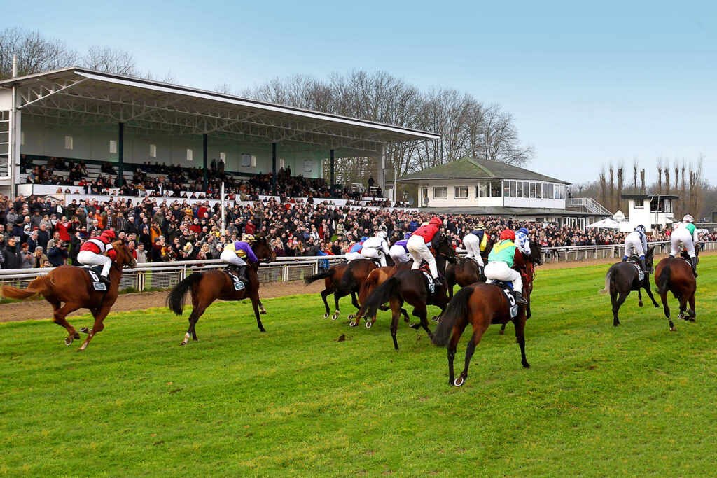 Rennen vor der Tribüne auf der Galopprennbahn Mülheim Raffelberg