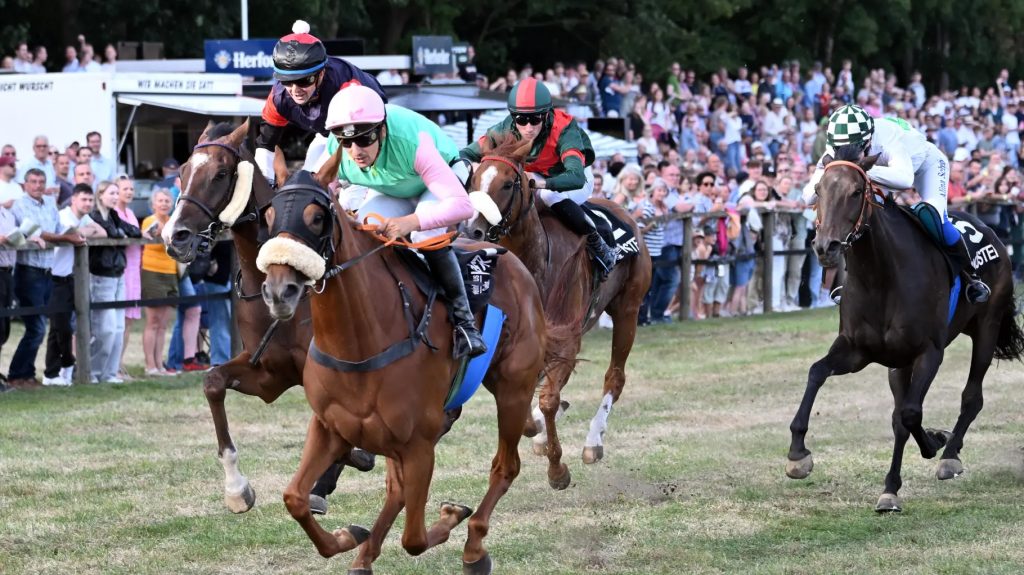 Galopprennen auf der Rennbahn Quakenbrück