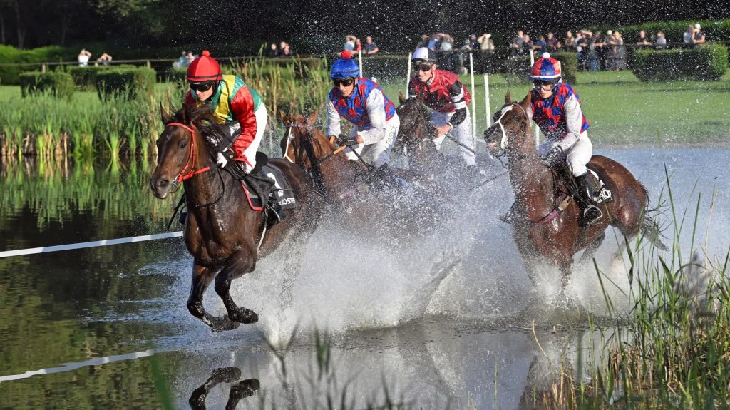 Seejagdrennen auf der Rennbahn Quakenbrück