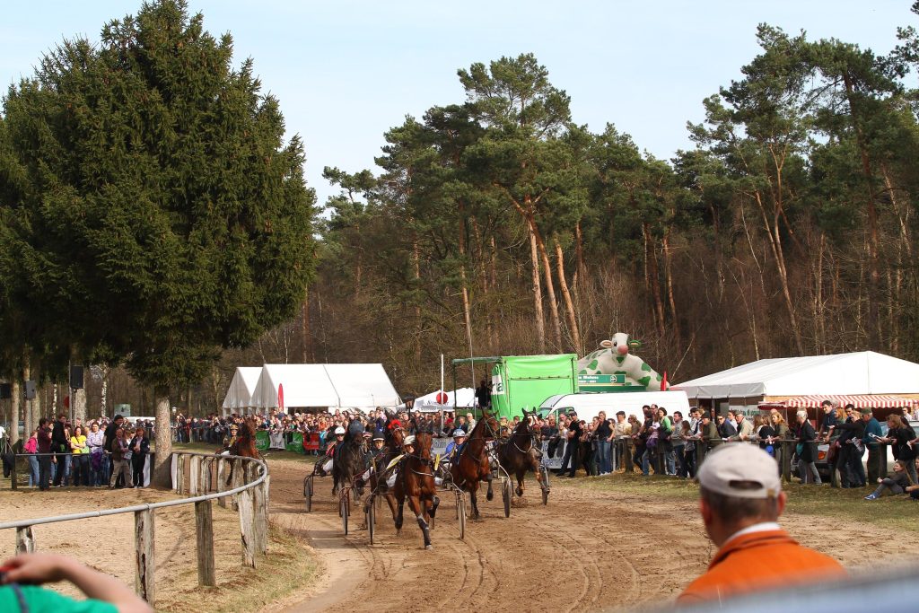 Trabrennen auf der Rennbahn Sonsbeck