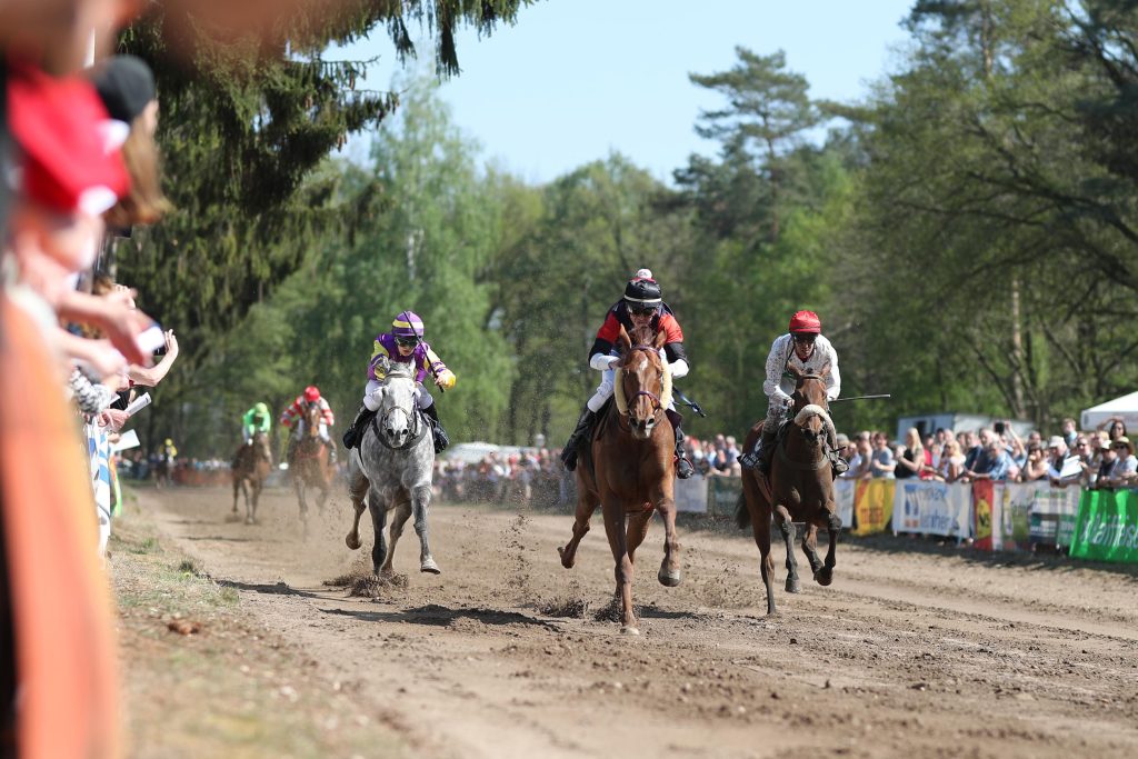 Galopprennen auf der Rennbahn Sonsbeck