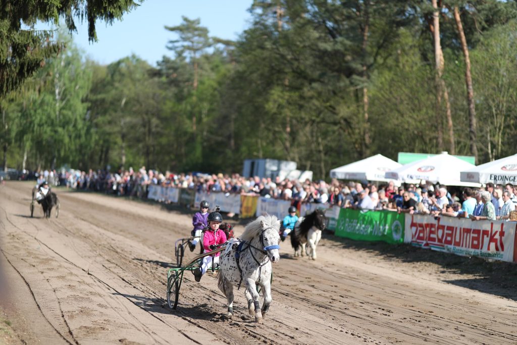 Pony-Rennen auf der Rennbahn Sonsbeck