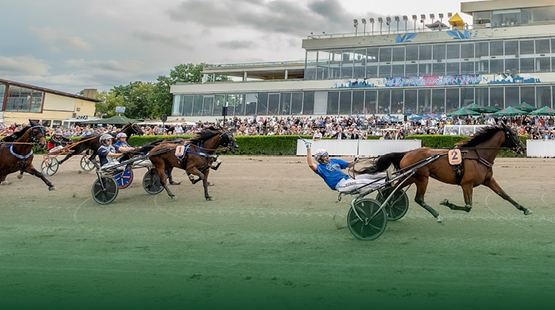 Vorl&auml;ufe zum Deutschen Traber-Derby Mariendorf