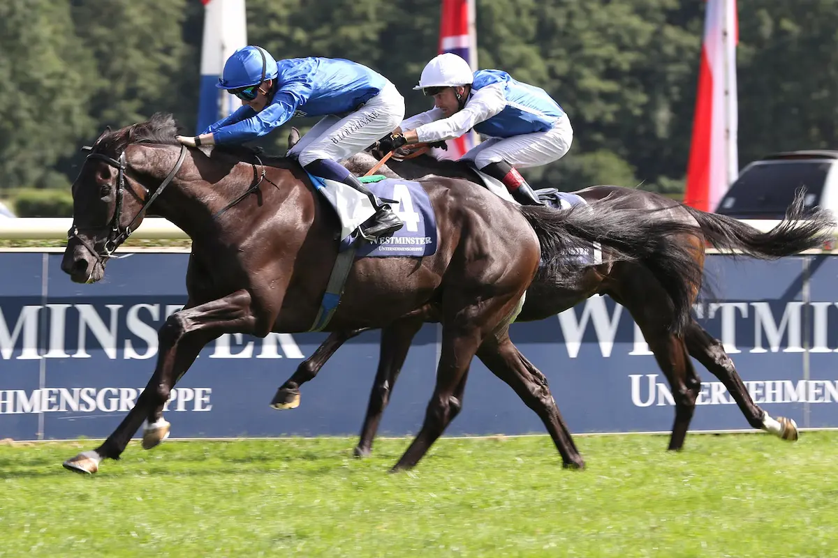 135. Gro&szlig;er Preis von Berlin 2025 in Hoppegarten