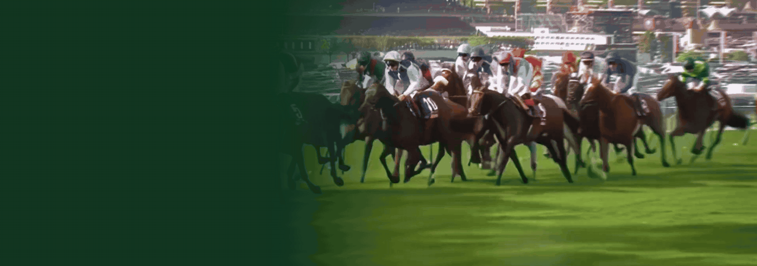 Rennszenen vom Qatar Prix de l'Arc de Triomphe 2025 in ParisLongchamp: das Feld im Galopp, Hufe in Nahaufnahme, Aufgalopp und Startmaschine