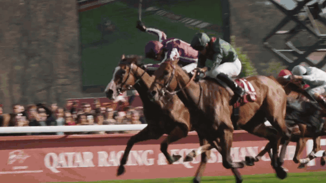 Rennszenen aus dem Qatar Prix de l'Arc de Triomphe 2025: das Feld an der Bande, Duell vor der Trib&uuml;ne und Zieleinlauf in ParisLongchamp