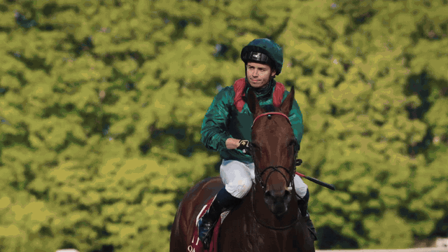 Micka&euml;l Barzalona feiert den Sieg mit Daryz im Qatar Prix de l'Arc de Triomphe 2025