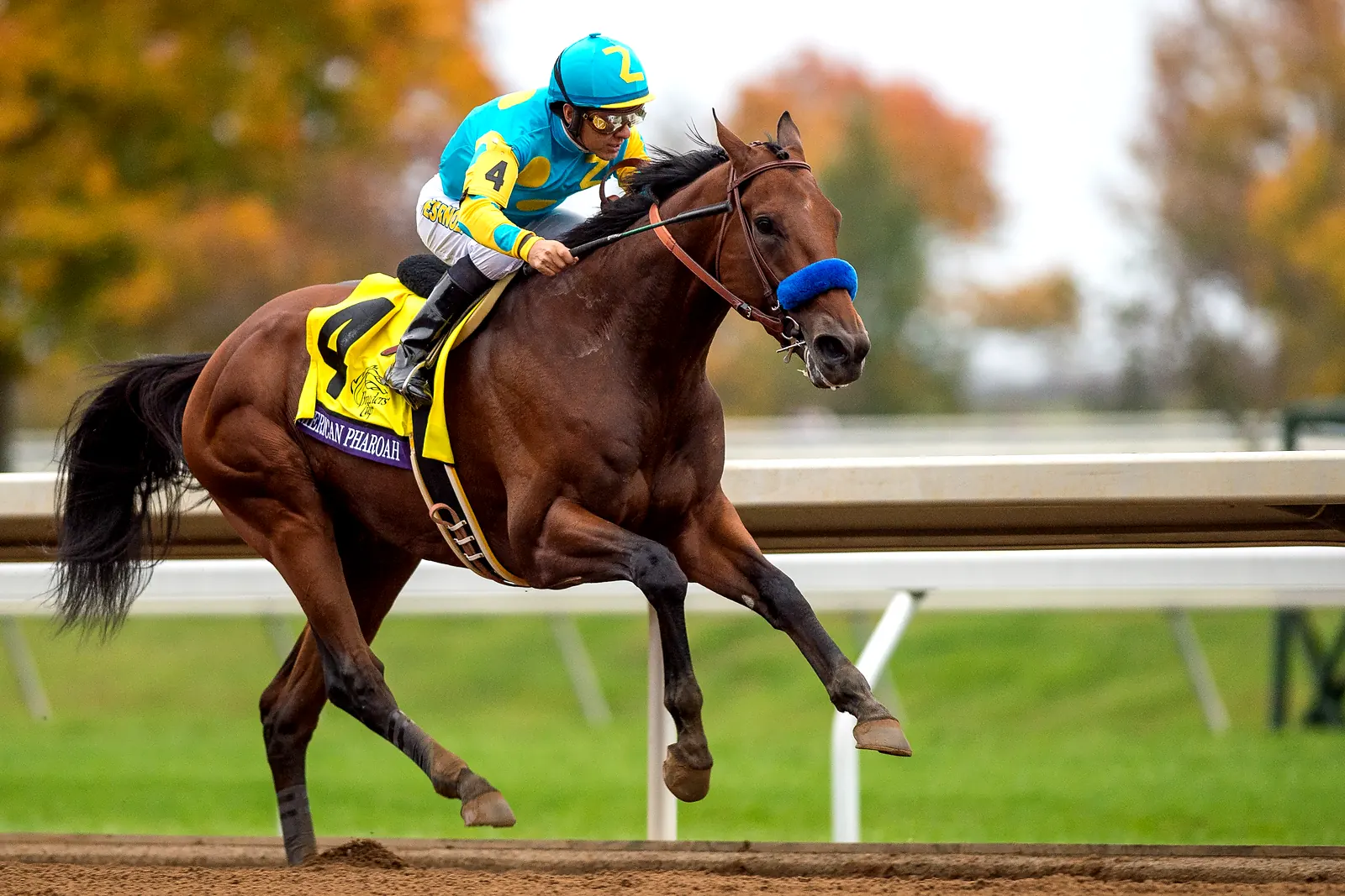 American Pharoah unter Victor Espinoza im Breeders’ Cup Classic 2015 in Keeneland