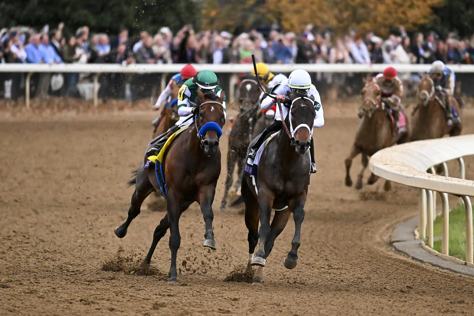 Flightline unter Flavien Prat im Breeders’ Cup Classic 2022 in Keeneland
