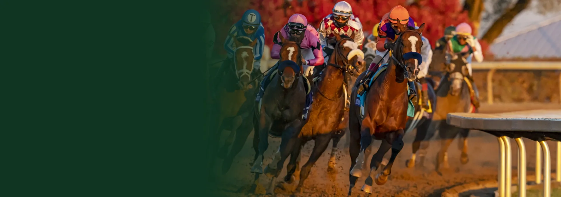 Das Feld in der ersten Kurve des Breeders’ Cup Classic 2020 in Keeneland