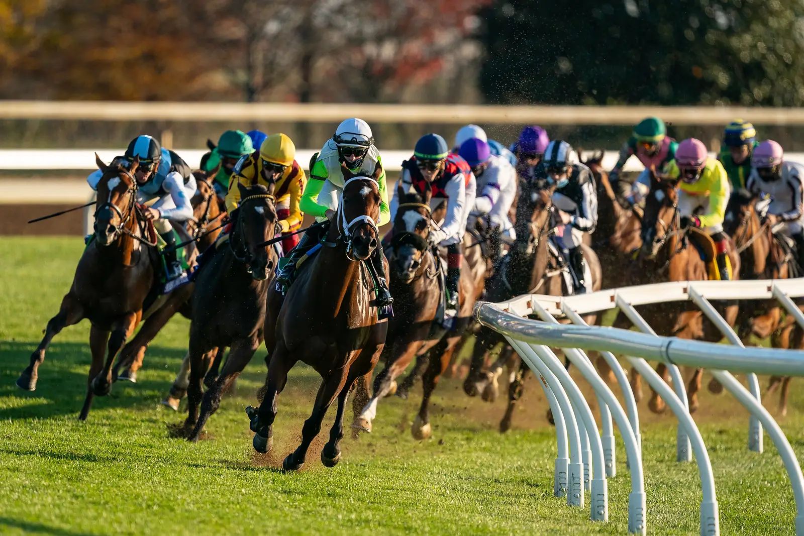 Zweijährige Stuten im Breeders’ Cup Juvenile Fillies Turf 2020 in Keeneland