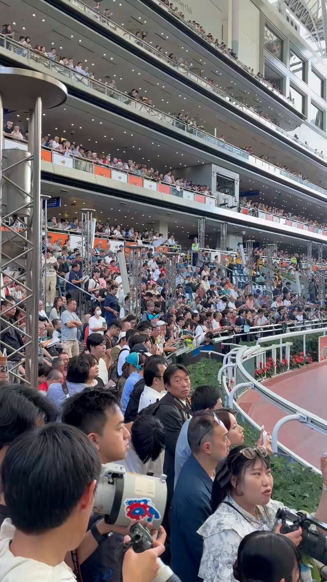 RT by @wettstar_de: The Sha Tin parade ring! 🤩 

Absolutely packed ahead of the G1 FWD Champions Mile.