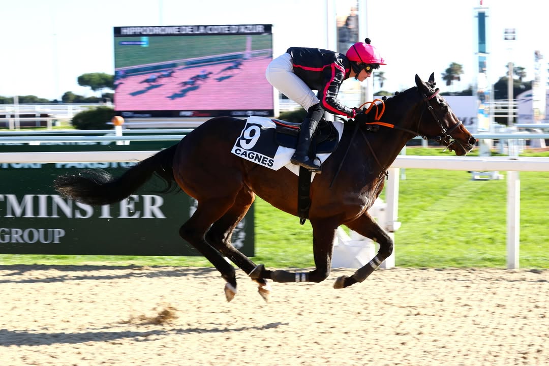 Natürlich haben wir auch für den heutigen Donnerstag einen Tipp in der...